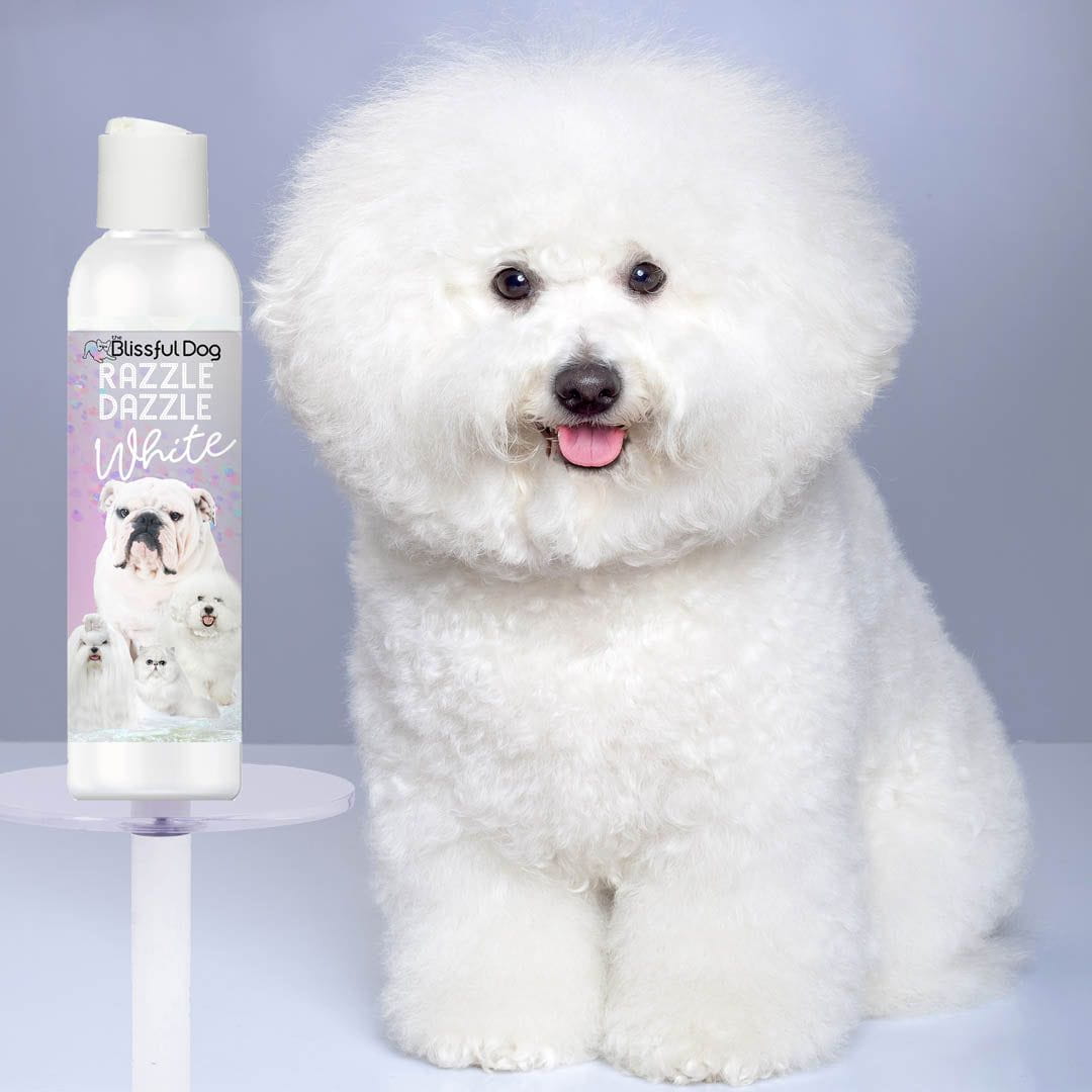 bichon frise shampoo